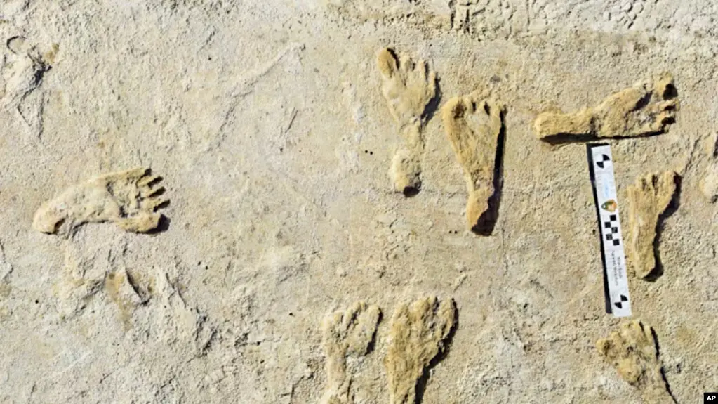 نخستین انسانها ۲۳ هزار سال قبل به آمریکا پا گذاشتند؛ انتشار نتایج مطالعه ردپاهای باستانی