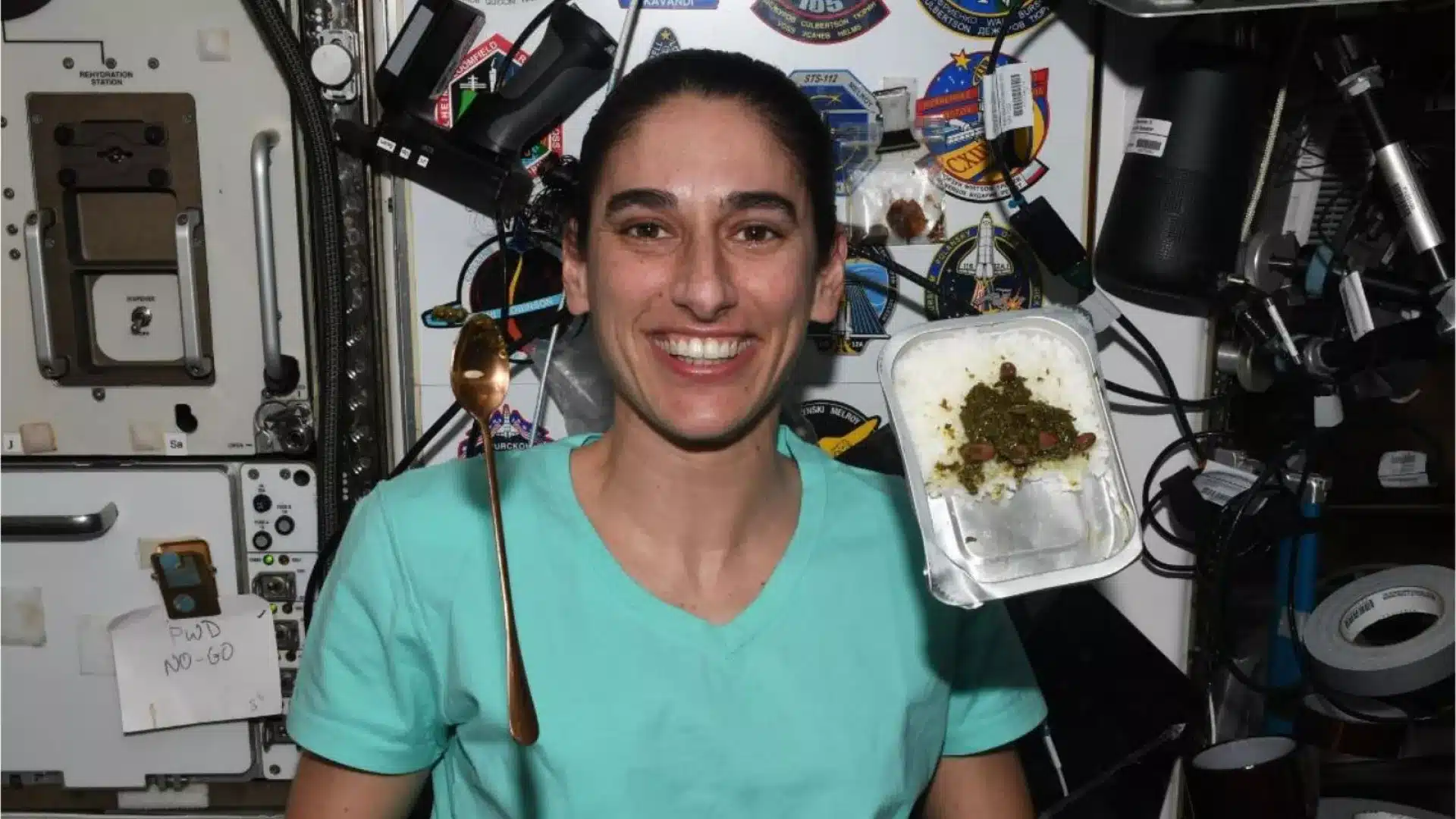 قرمه‌ سبزی ایرانی به فضا رفت