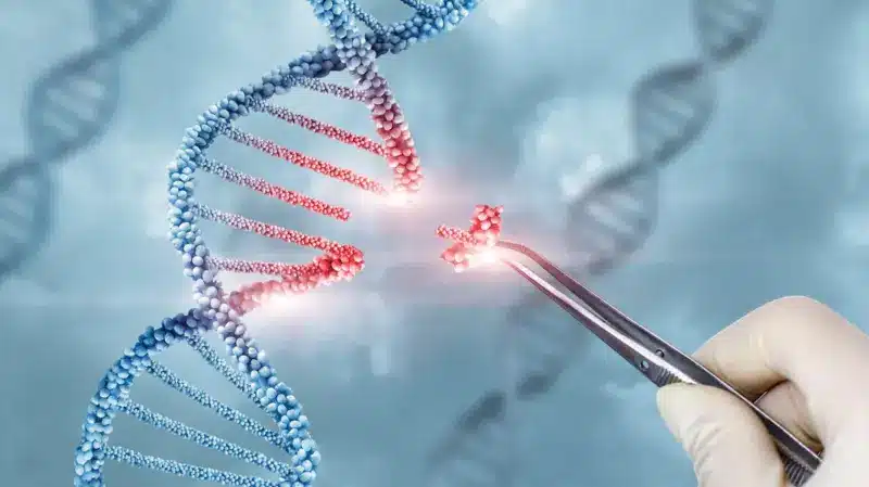 کم‌خونی داسی‌شکل چیست و شیوه درمان «قیچی‌ ژنتیکی» چگونه عمل می‌کند؟