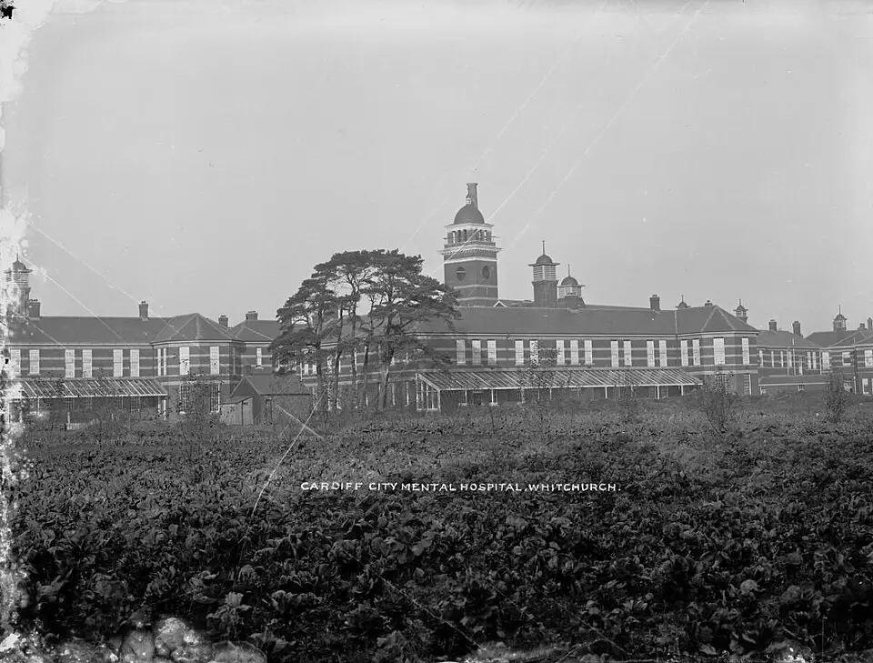 «قصر دیوانگان»؛ داستان قدیمی‌ترین آسایشگاه روانی جهان