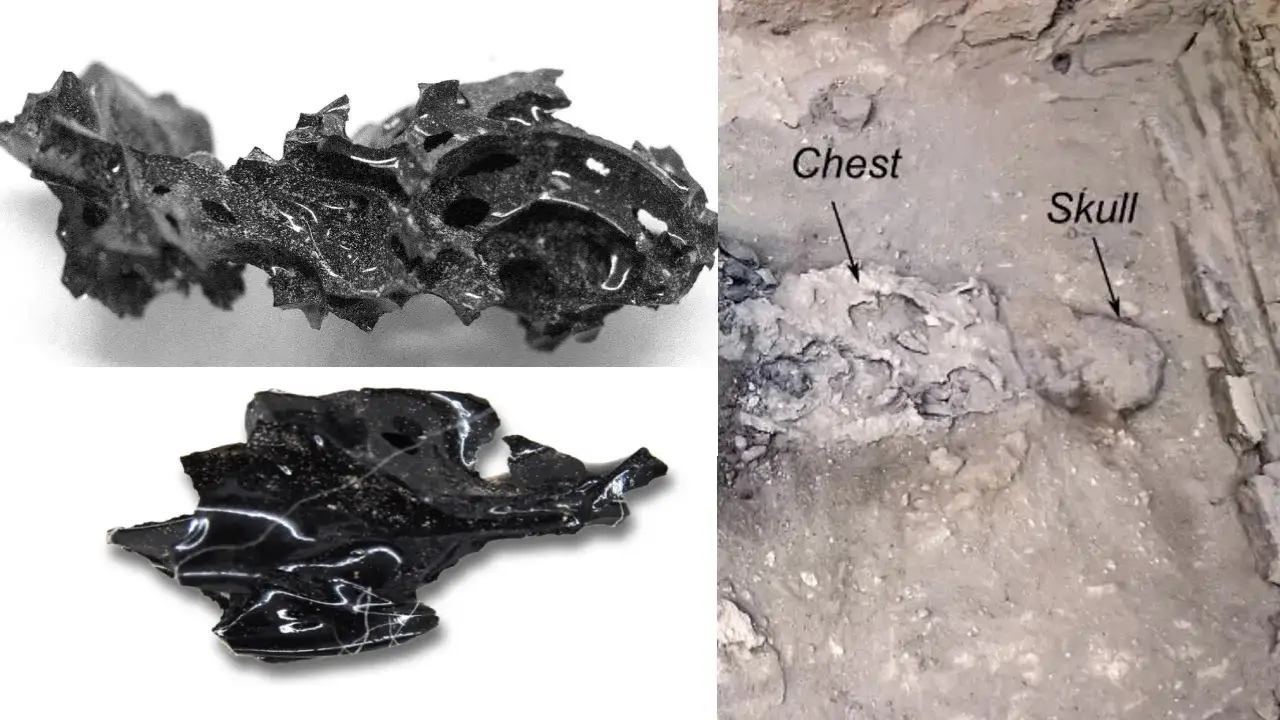 چگونه آتشفشان مغز یک انسان را به شیشه تبدیل کرد