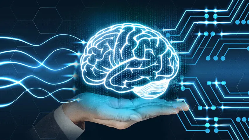 کشف یک زبان پنهان در مغز