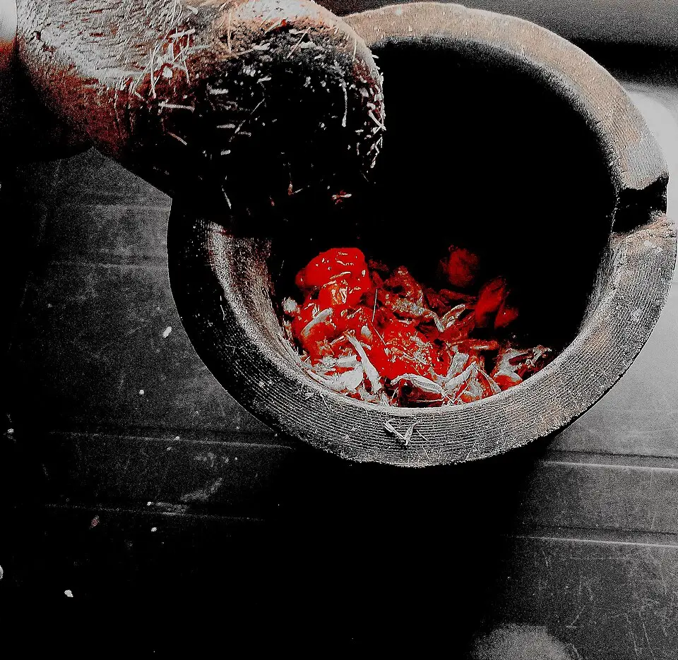 طب سنتی زیر ذره‌بین هوش مصنوعی؛ آزمونی تازه به ابتکار سازمان جهانی بهداشت