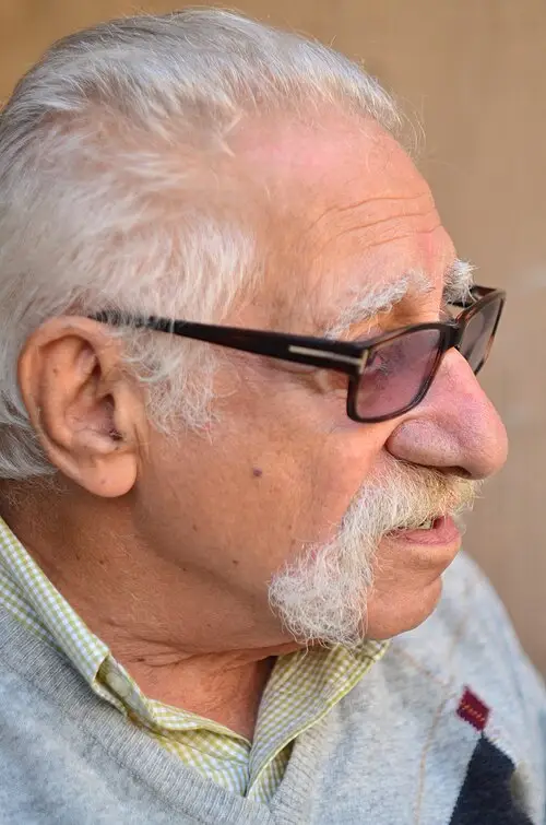 در مورد استاد عبدالمجید ارفعی