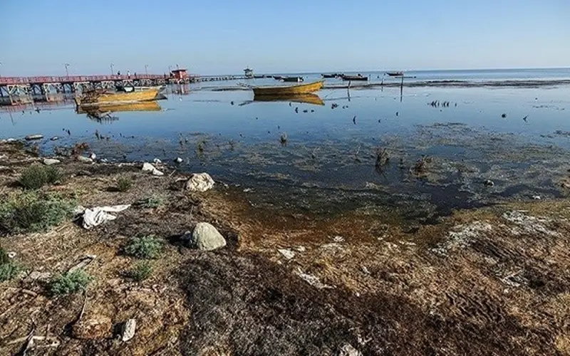 بحران خلیج گرگان؛ لایروبی عقب ماند، خشکی پیشروی کرد