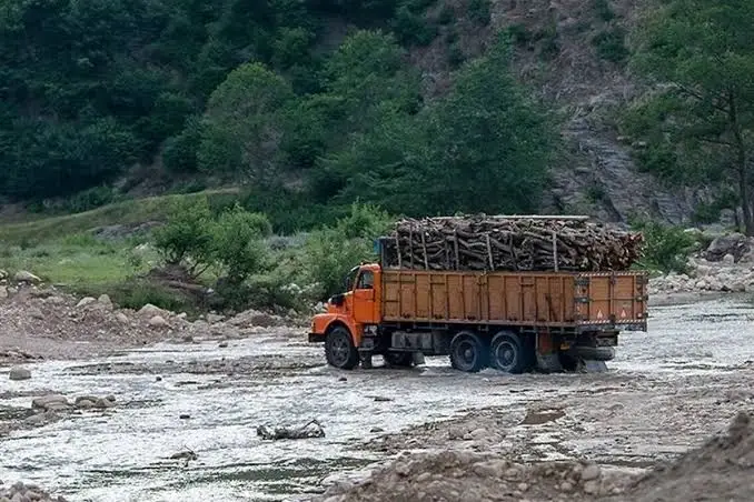 از «طرح تنفس» تا بحران زباله؛ یک دهه بعد، هیرکانی کجای مسیر حفاظت ایستاده است؟